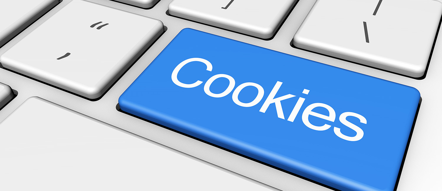Website Cookie Policy For Northern Queen In