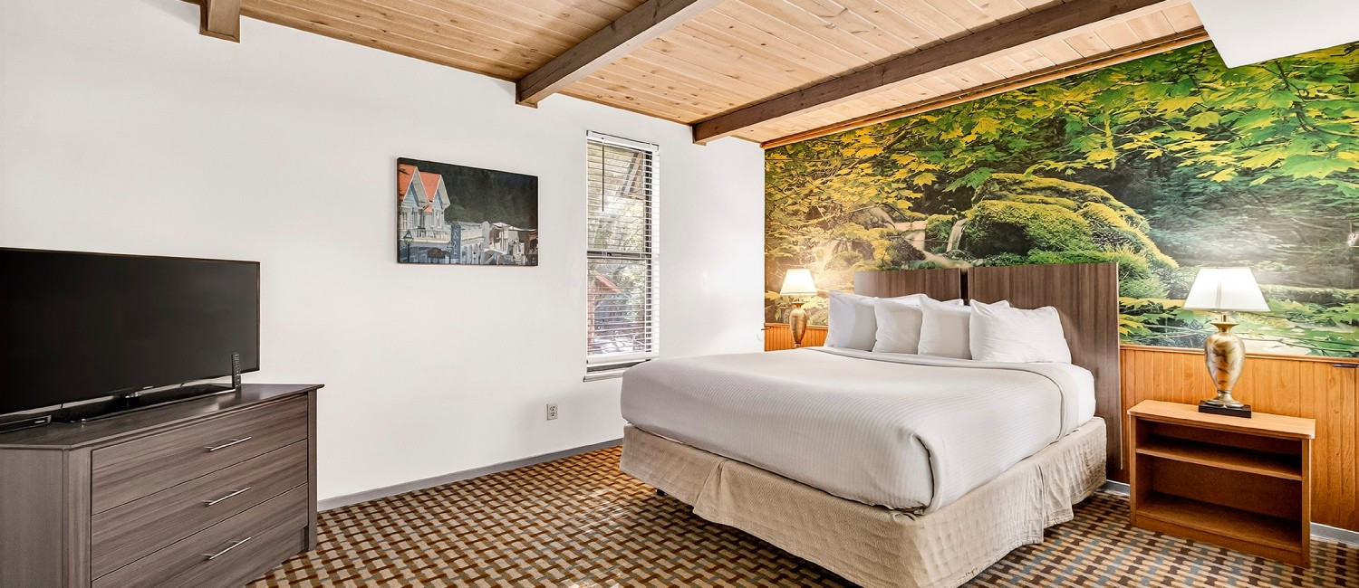 Whether You're Looking For A Cozy Cabin, Spacious Studio, Or Something In Between - We Have The Perfect Accommodations For Your Getaway