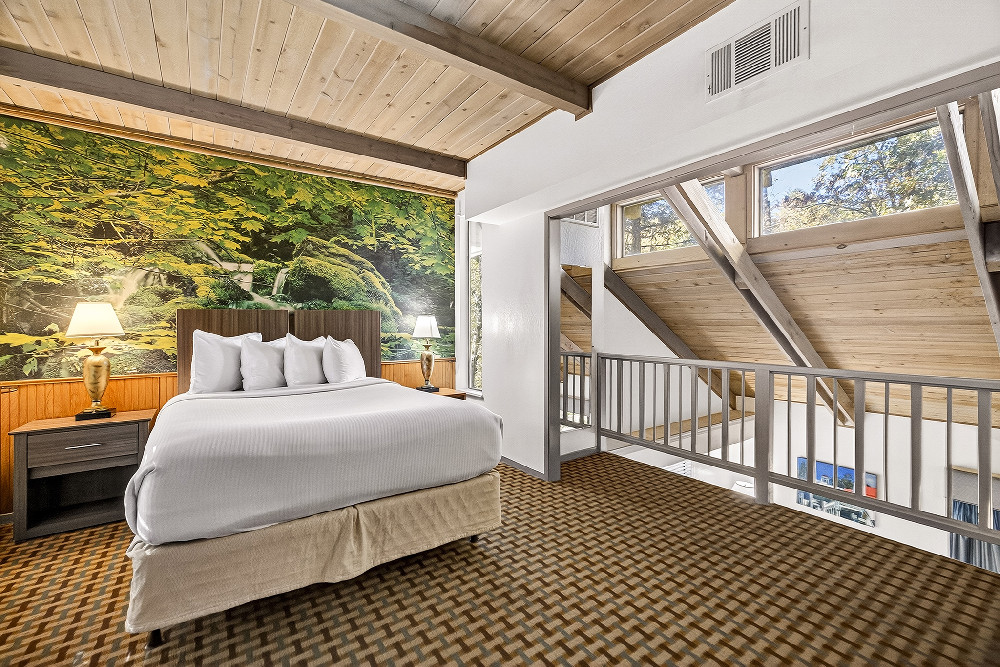 Large Studio Queen Non Smoking