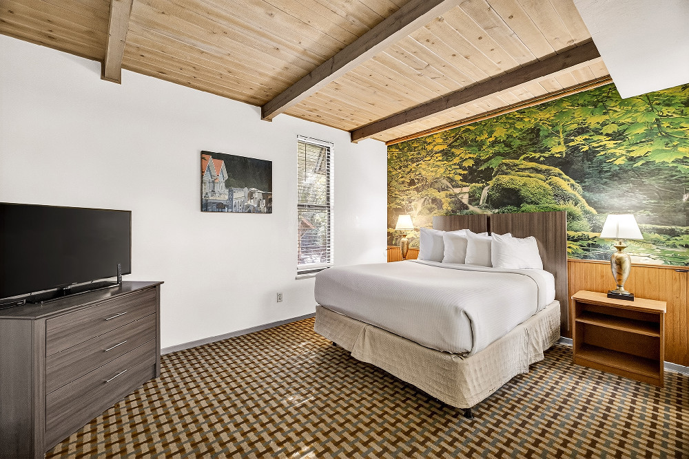 Large Studio Queen Non Smoking